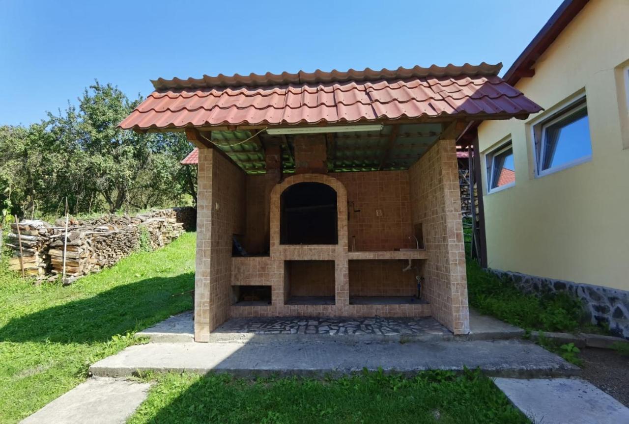 Pensiunea Dobrin Arefu Exterior foto