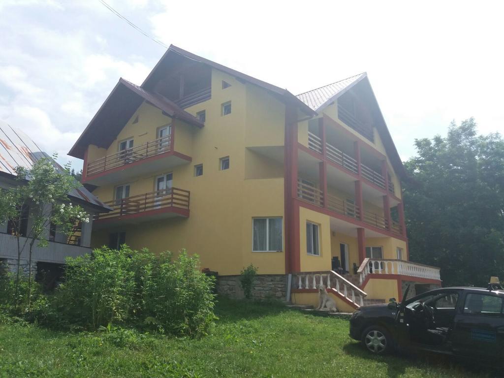Pensiunea Dobrin Arefu Exterior foto