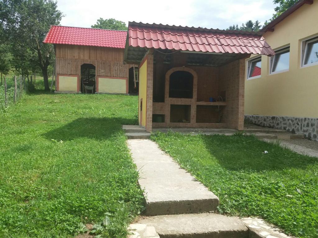 Pensiunea Dobrin Arefu Exterior foto