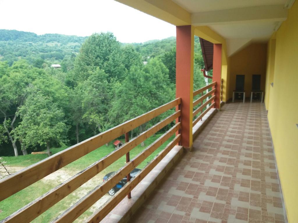 Pensiunea Dobrin Arefu Exterior foto